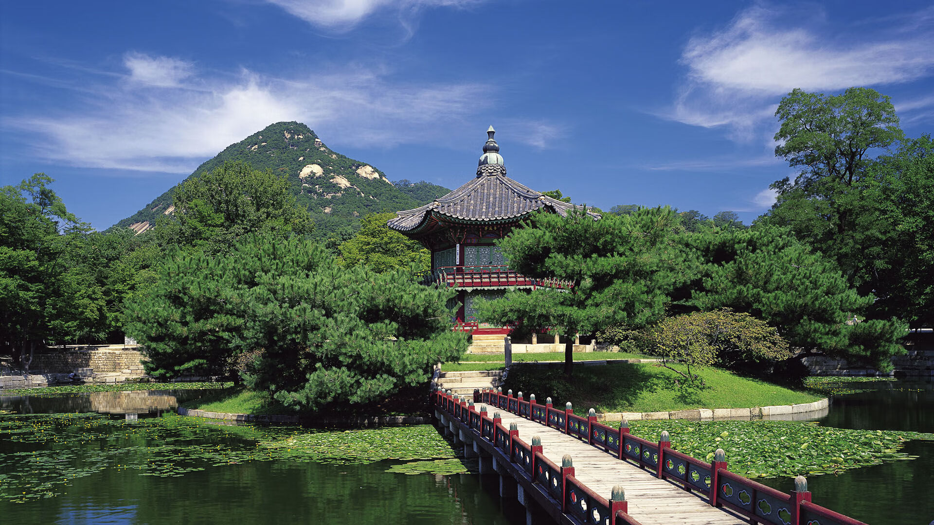 世界帆船大奖赛选手技术竞技，世界帆船大奖赛选手技术竞技排名